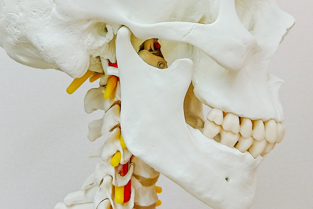 かみ癖について・大宮いしはた歯科